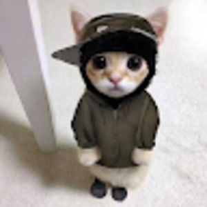 Meet your Posher, Reeses